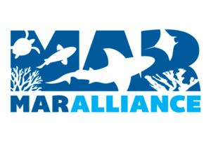 mar-alliance-n